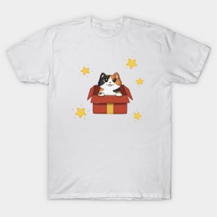 Calico Cat In Gift Box T-Shirt